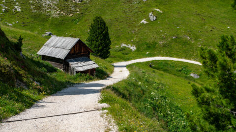 Berghütte, grüne Wiesen, Wanderweg, Österreich