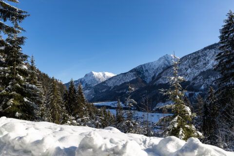 Schnee Bergpanorama in Österreich