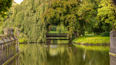 Die Brücke am Fluß - Niederlande